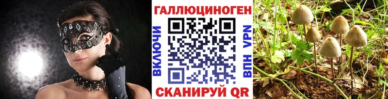 Псилоцибиновые грибы мицелий  кракен рабочий сайт  Тайшет 